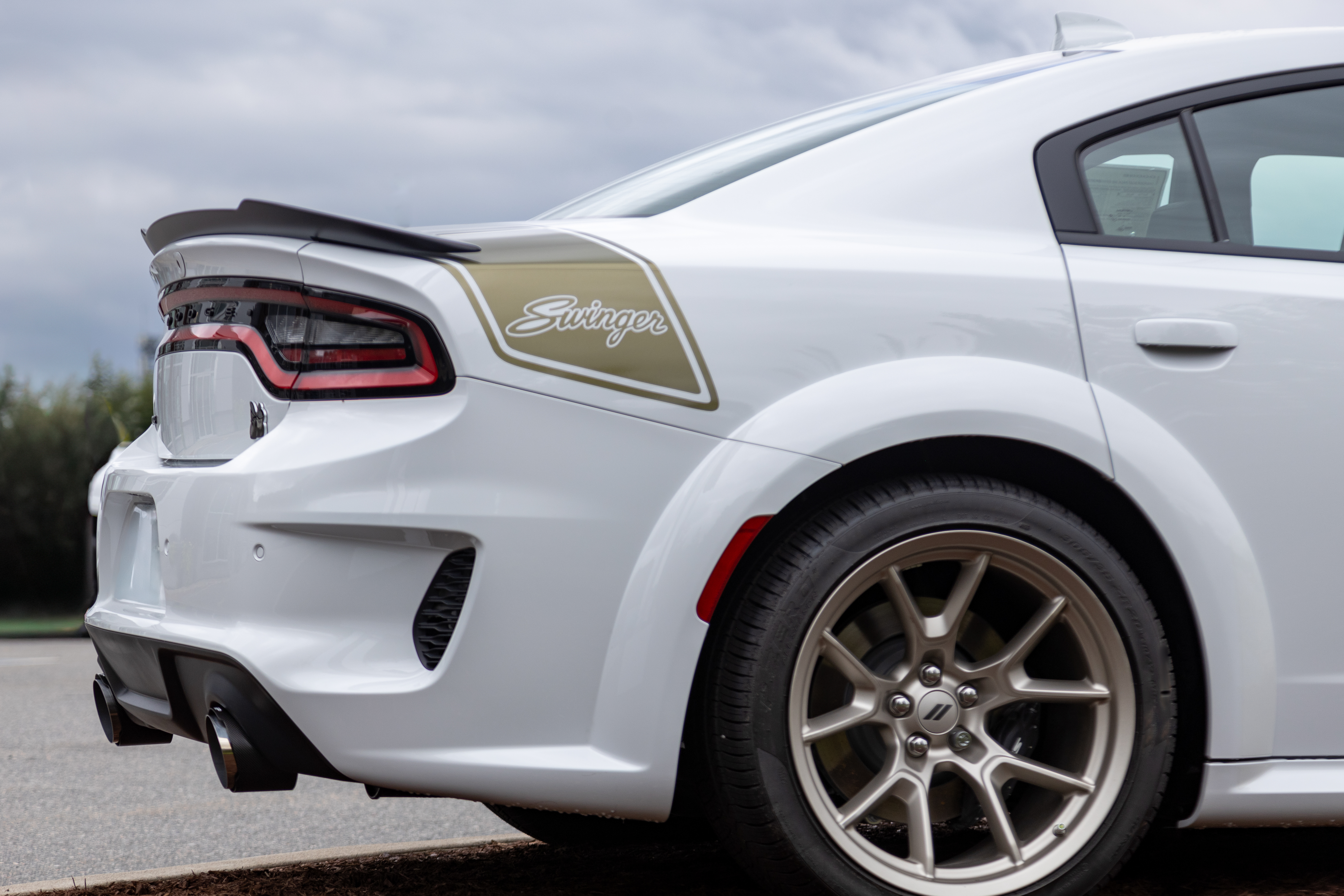 MBRP Exhaust 5in. OD, SEC 70 Inlet, 7.7in. In Length, Dual Wall, Angle Cut, CF Tip Pairs.